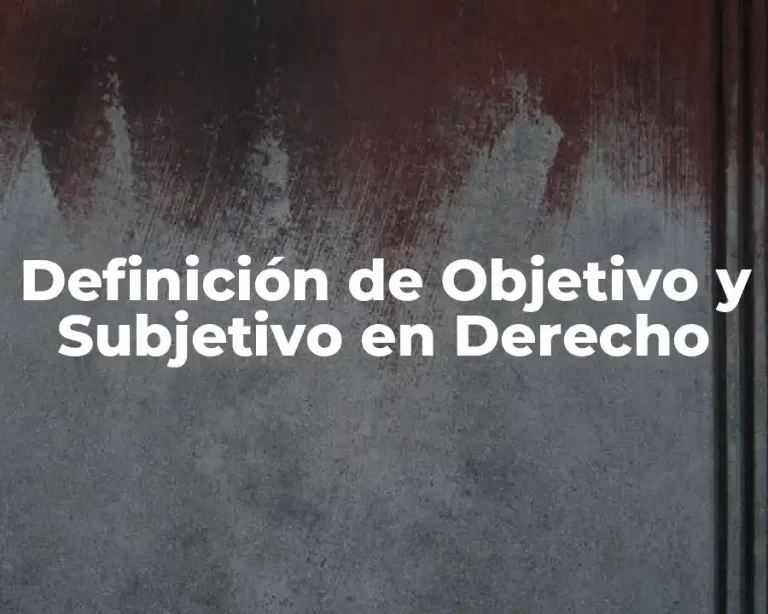 Definición de Objetivo y Subjetivo en Derecho