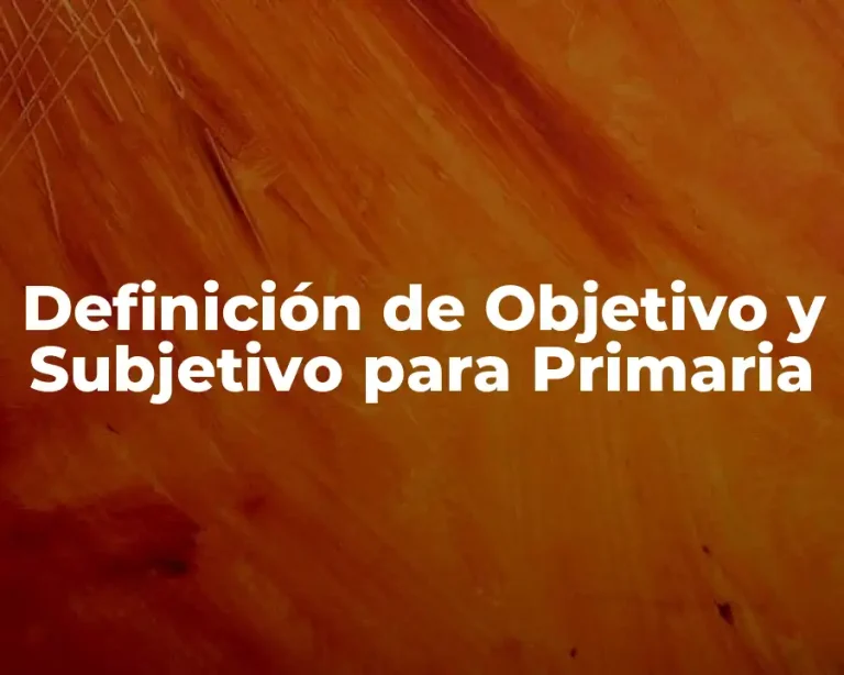 Definición de Objetivo y Subjetivo para Primaria