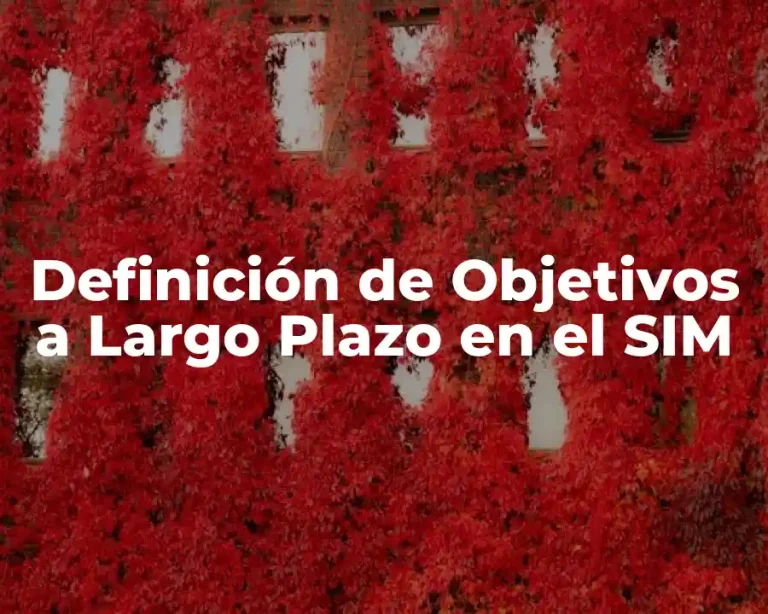 Definición de Objetivos a Largo Plazo en el SIM