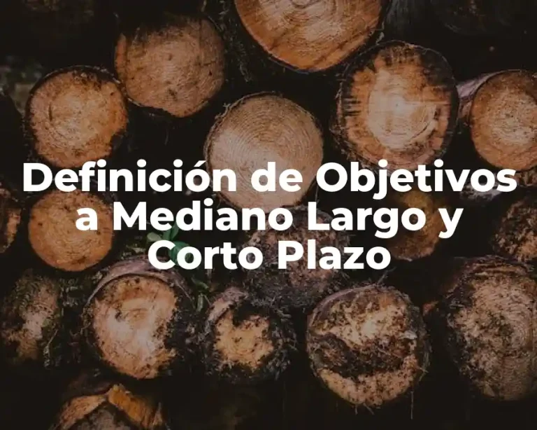 Definición de Objetivos a Mediano Largo y Corto Plazo