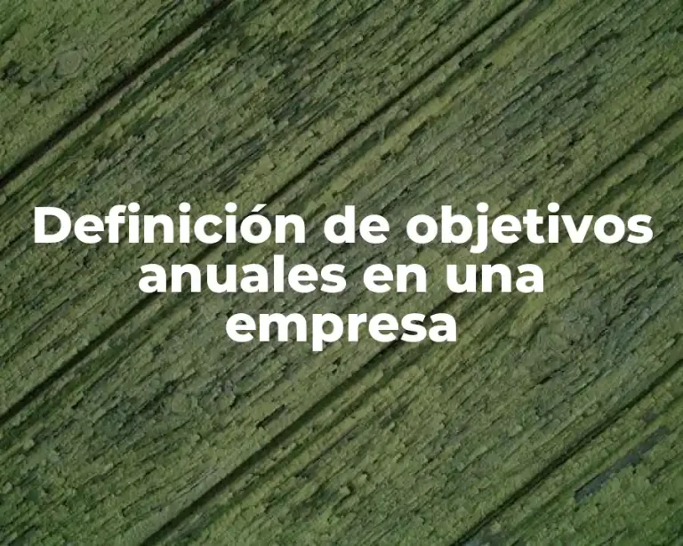 Definición de objetivos anuales en una empresa