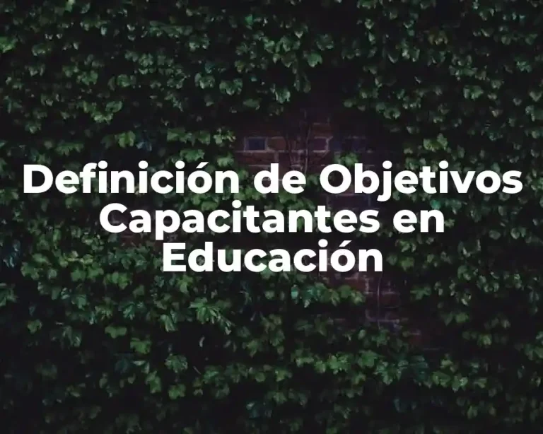 Definición de Objetivos Capacitantes en Educación