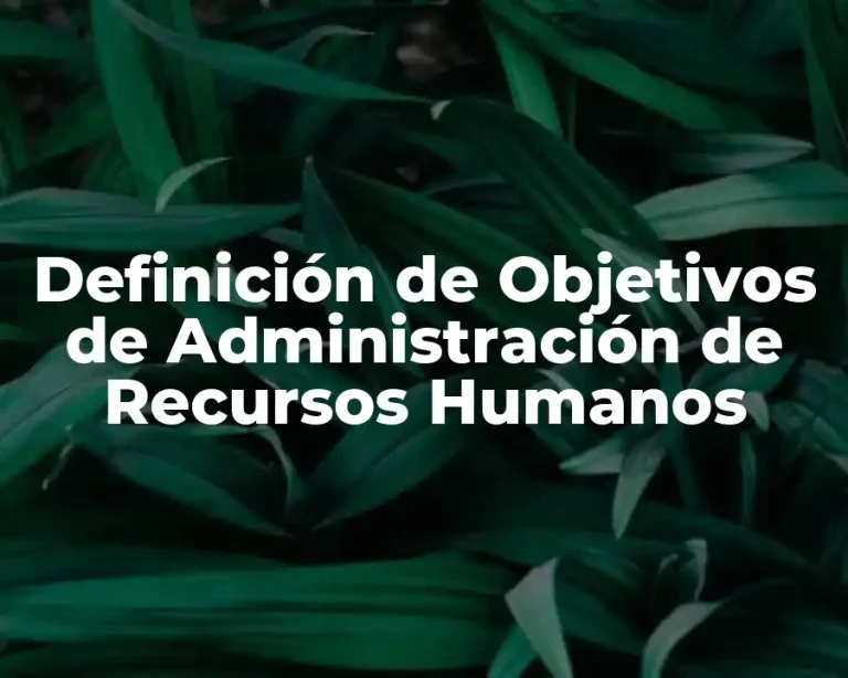 Definición de Objetivos de Administración de Recursos Humanos