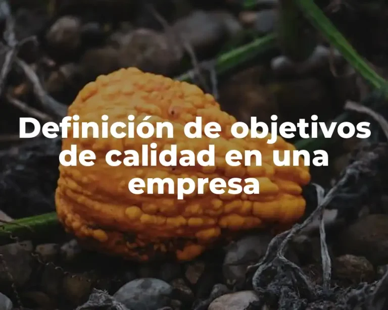 Definición de objetivos de calidad en una empresa