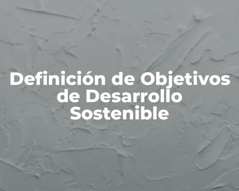 Definición de Objetivos de Desarrollo Sostenible