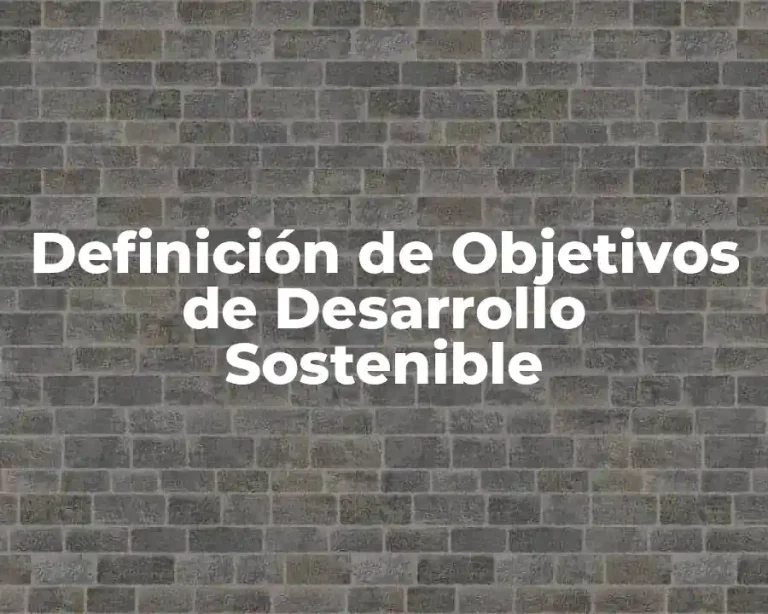 Definición de Objetivos de Desarrollo Sostenible