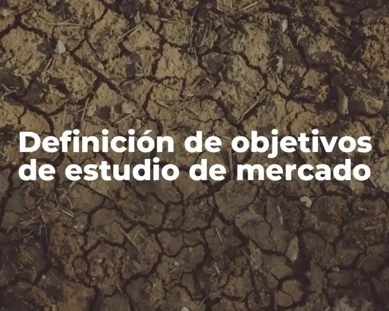 Definición de objetivos de estudio de mercado