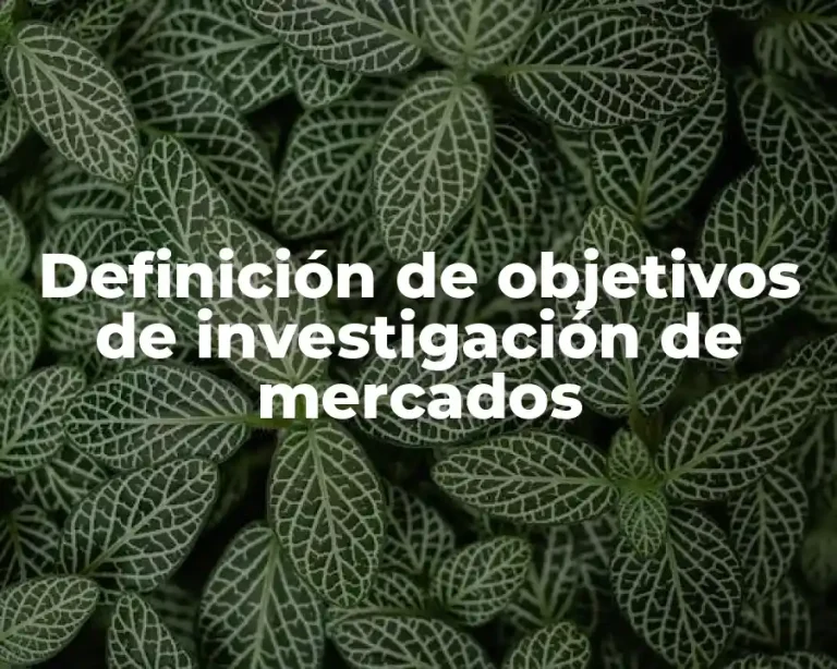 Definición de objetivos de investigación de mercados