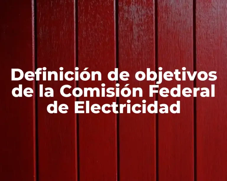 Definición de objetivos de la Comisión Federal de Electricidad