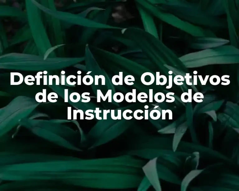 Definición de Objetivos de los Modelos de Instrucción