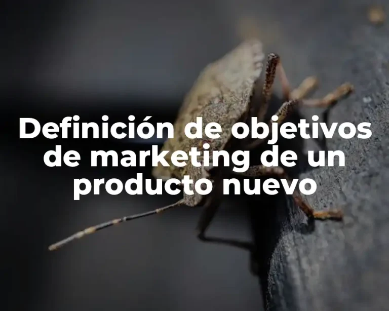 Definición de objetivos de marketing de un producto nuevo
