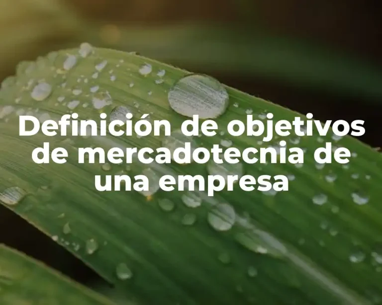 Definición de objetivos de mercadotecnia de una empresa
