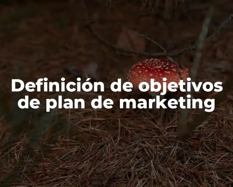 Definición de objetivos de plan de marketing