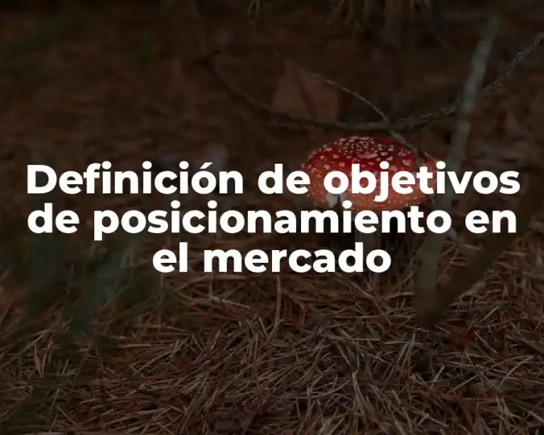 Definición de objetivos de posicionamiento en el mercado