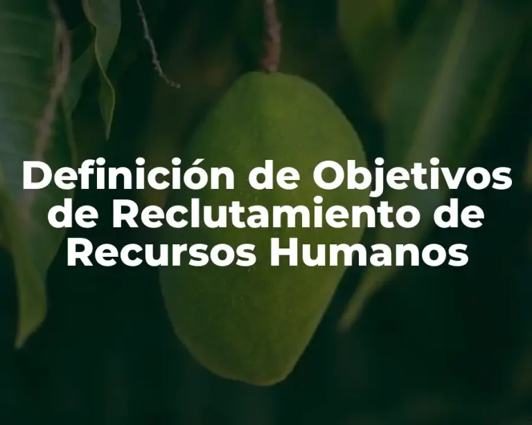 Definición de Objetivos de Reclutamiento de Recursos Humanos