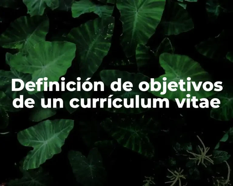 Definición de objetivos de un currículum vitae