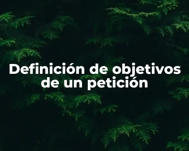 Definición de objetivos de un petición