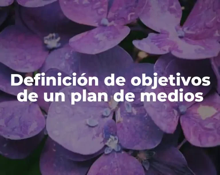 Definición de objetivos de un plan de medios