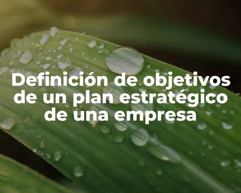 Definición de objetivos de un plan estratégico de una empresa