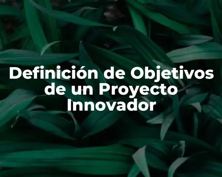 Definición de Objetivos de un Proyecto Innovador