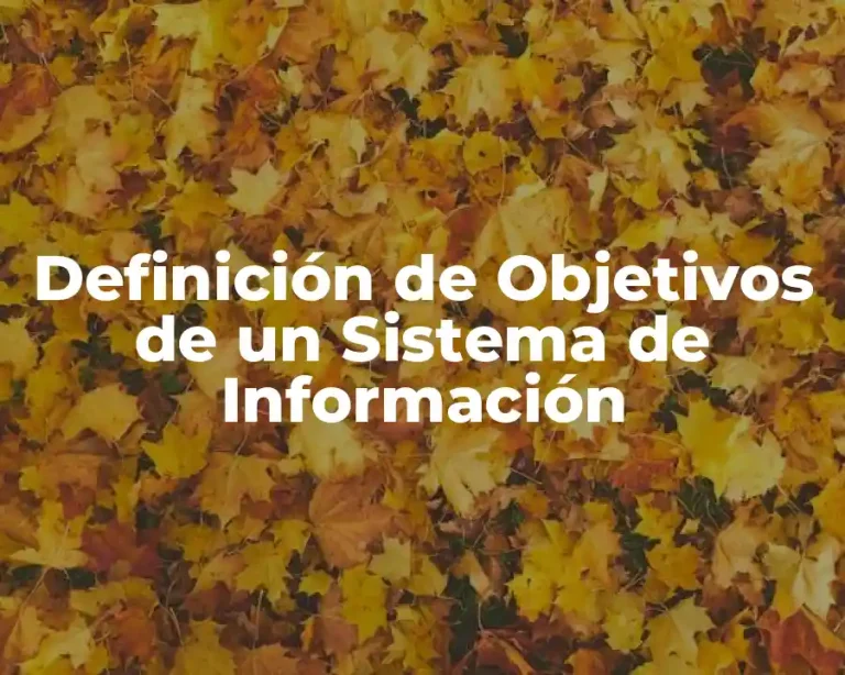 Definición de Objetivos de un Sistema de Información