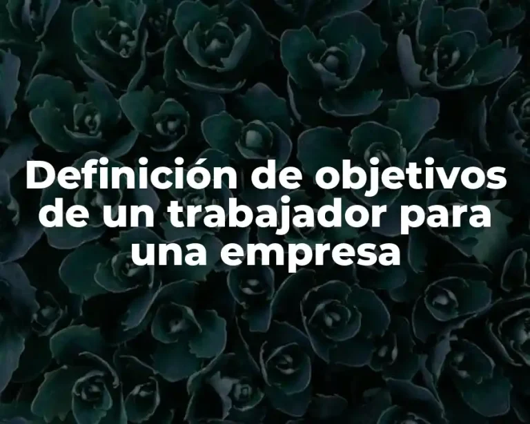 Definición de objetivos de un trabajador para una empresa