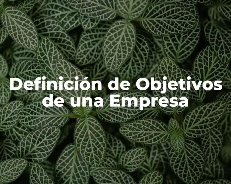 Definición de Objetivos de una Empresa
