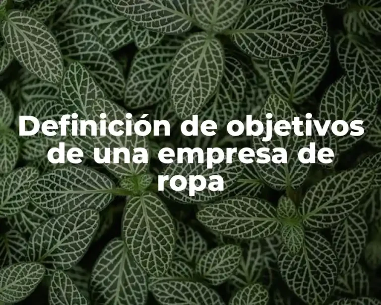 Definición de objetivos de una empresa de ropa