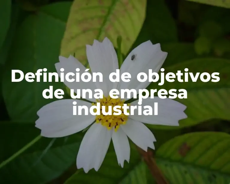 Definición de objetivos de una empresa industrial