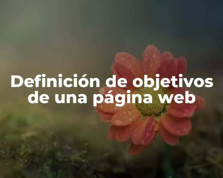 Definición de objetivos de una página web