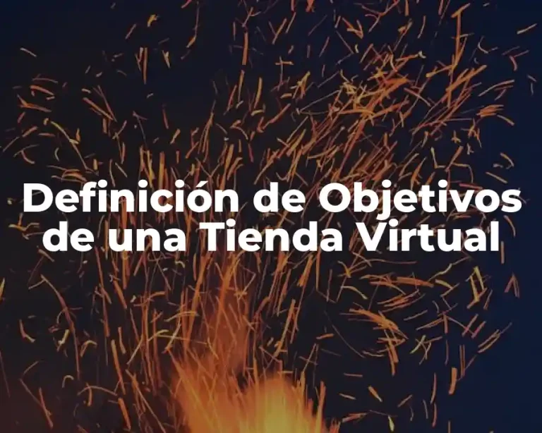 Definición de Objetivos de una Tienda Virtual