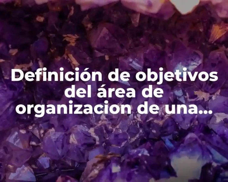 Definición de objetivos del área de organizacion de una empresa