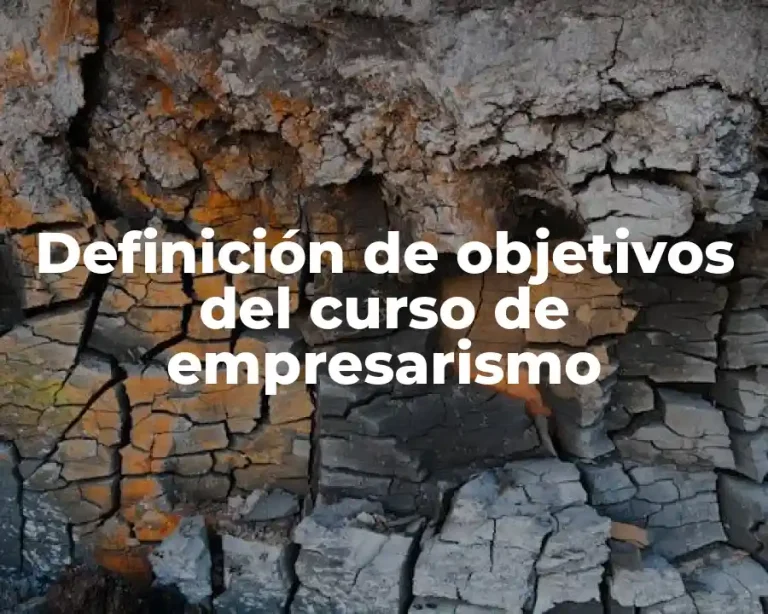 Definición de objetivos del curso de empresarismo