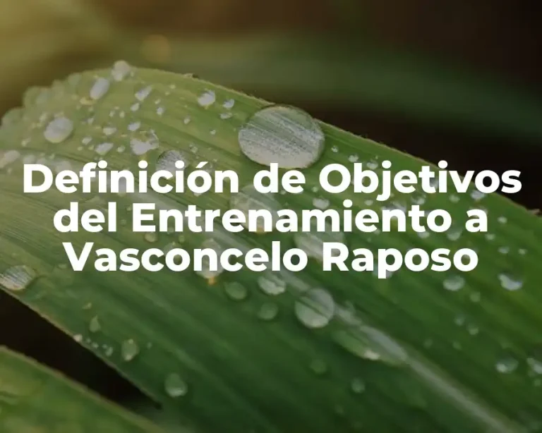 Definición de Objetivos del Entrenamiento a Vasconcelo Raposo