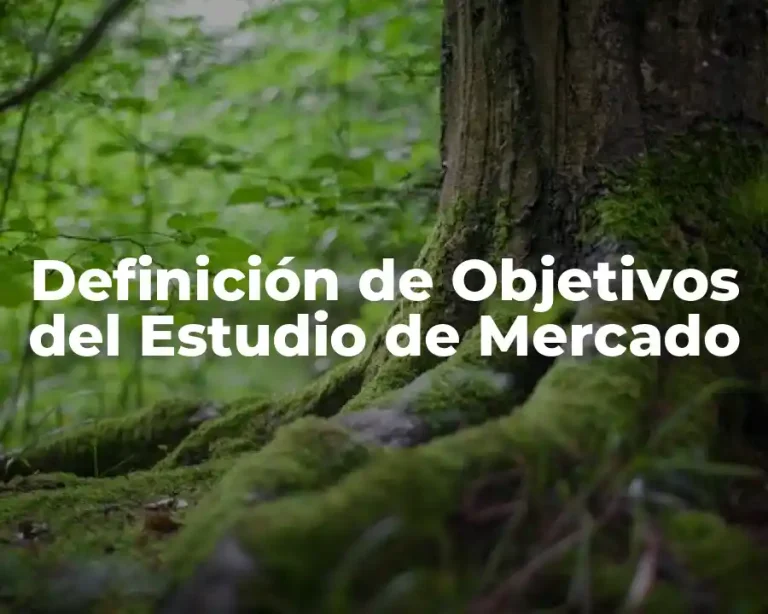 Definición de Objetivos del Estudio de Mercado