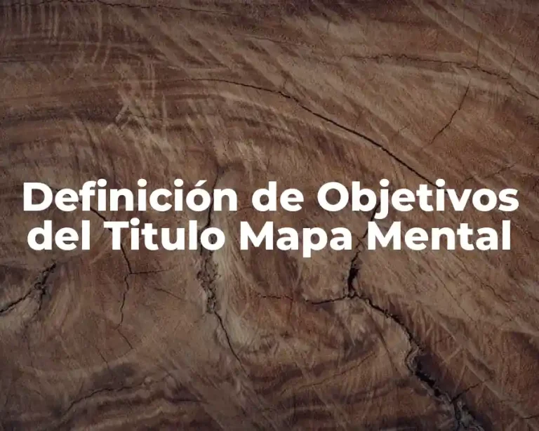 Definición de Objetivos del Titulo Mapa Mental