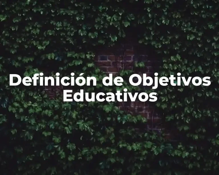 Definición de Objetivos Educativos