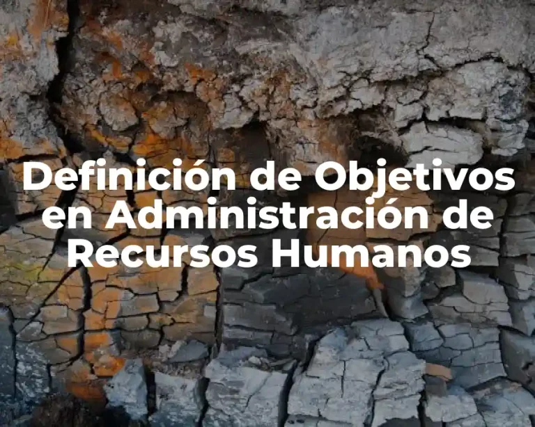 Definición de Objetivos en Administración de Recursos Humanos