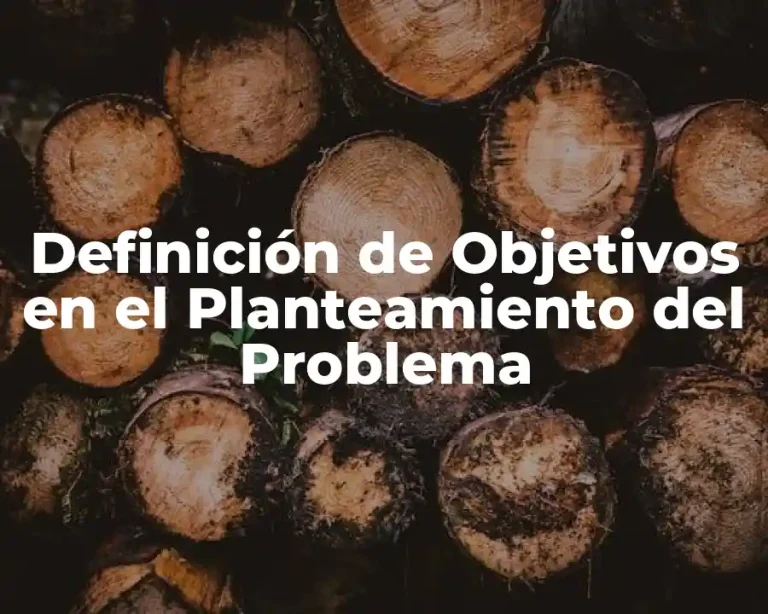 Definición de Objetivos en el Planteamiento del Problema