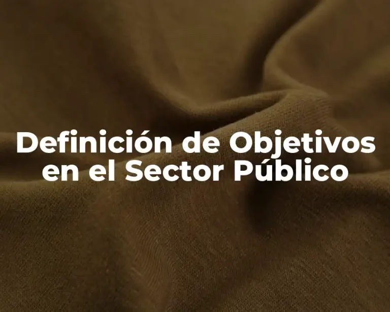 Definición de Objetivos en el Sector Público