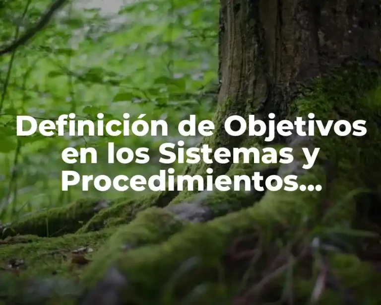 Definición de Objetivos en los Sistemas y Procedimientos Administrativos