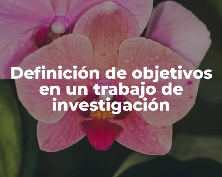 Definición de objetivos en un trabajo de investigación