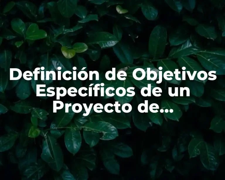 Definición de Objetivos Específicos de un Proyecto de Investigación