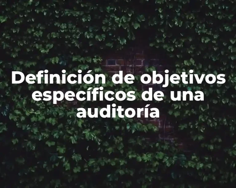 Definición de objetivos específicos de una auditoría