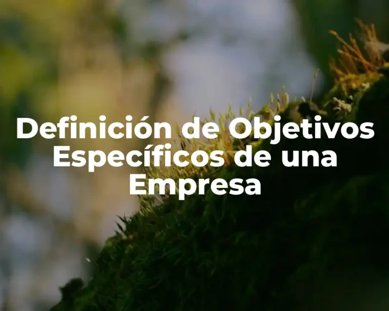 Definición de Objetivos Específicos de una Empresa