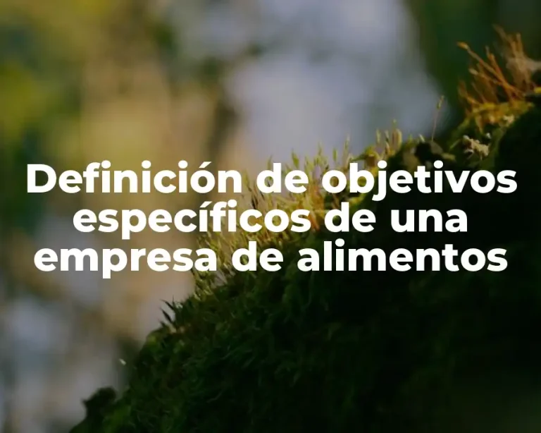 Definición de objetivos específicos de una empresa de alimentos