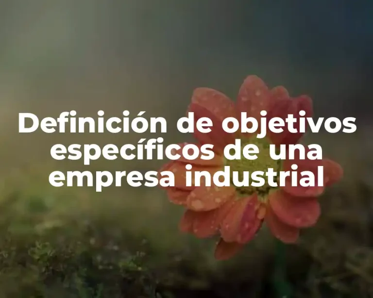 Definición de objetivos específicos de una empresa industrial