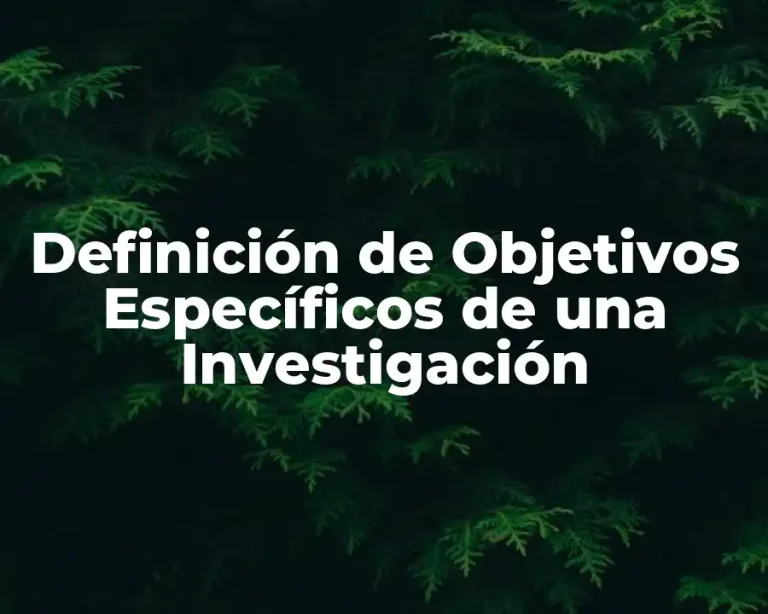 Definición de Objetivos Específicos de una Investigación