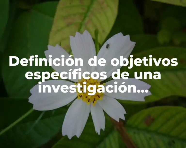 Definición de objetivos específicos de una investigación cuantitativa