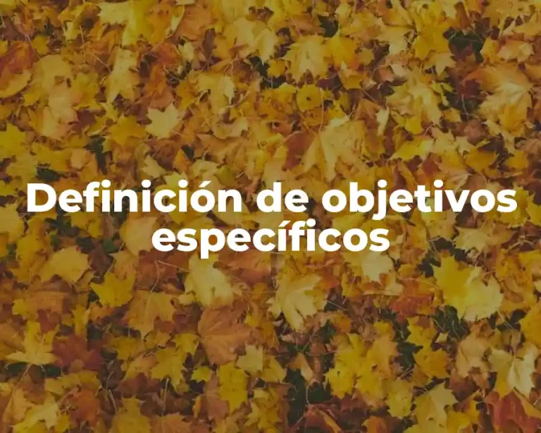 Definición de objetivos específicos